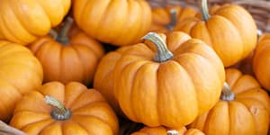 hojaldre de calabaza