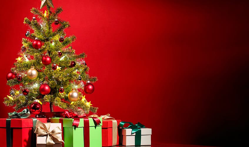Nuestra querida navidad